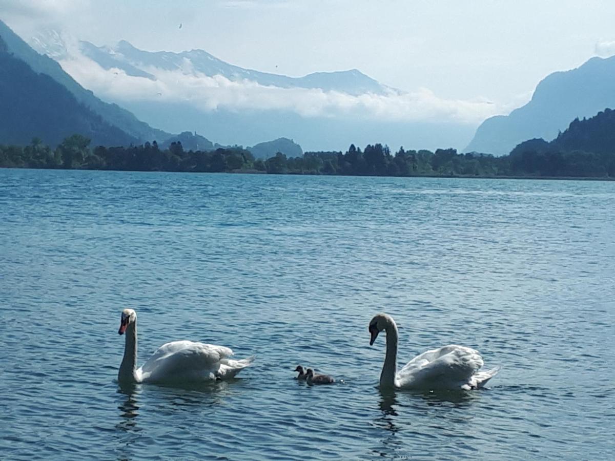 Berner Oberland Am Thunersee Därligen Zewnętrze zdjęcie