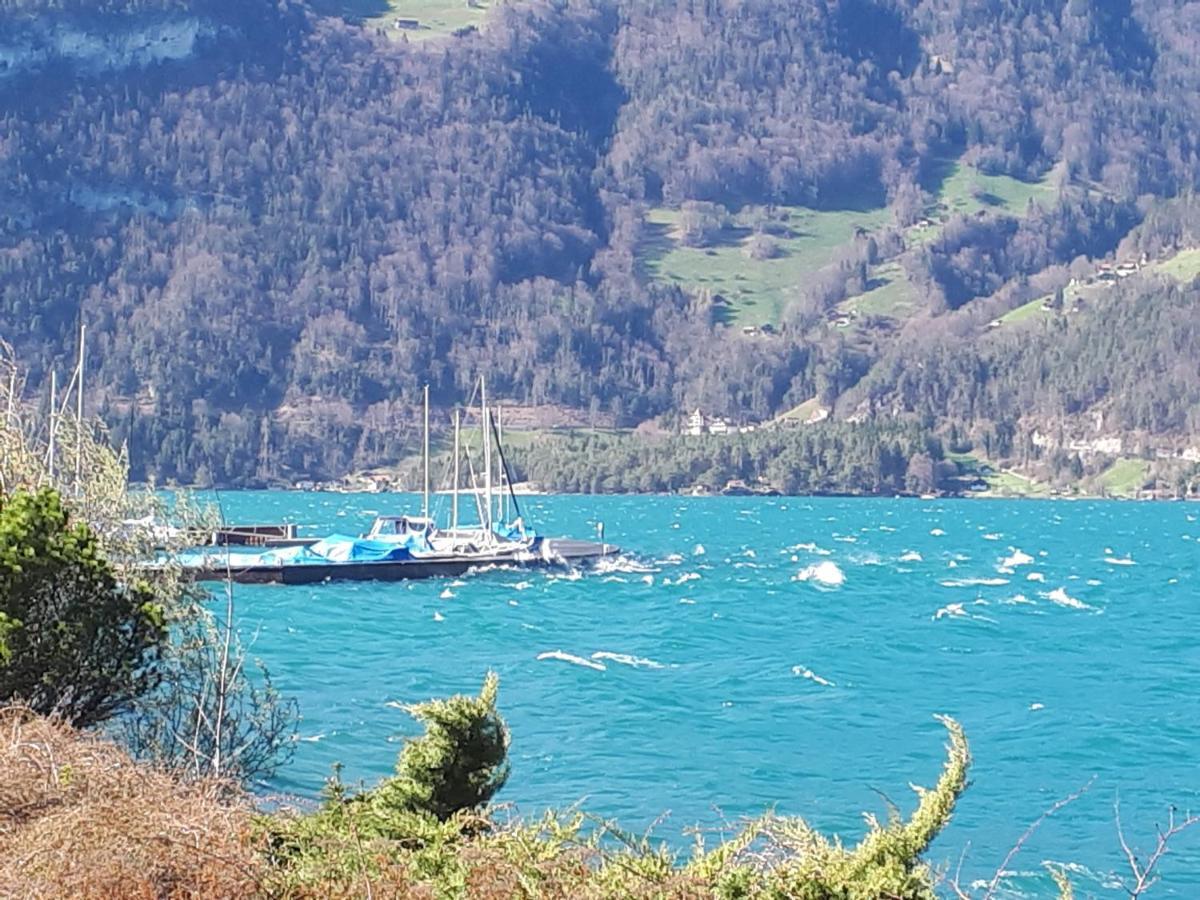 Berner Oberland Am Thunersee Därligen Zewnętrze zdjęcie